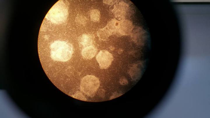 19554848_10155553529189066_9054435891863814869_n