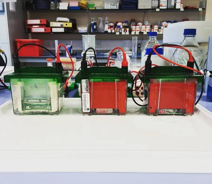 19601370_10155553528964066_3740723220511271538_n