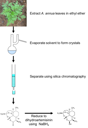 artemisinin extraction
