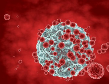 shutterstock_453481192