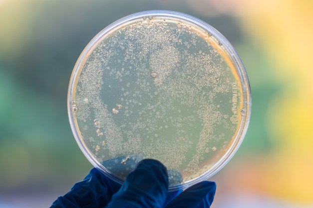 DSCF2809 - The Molecular Factory.jpg